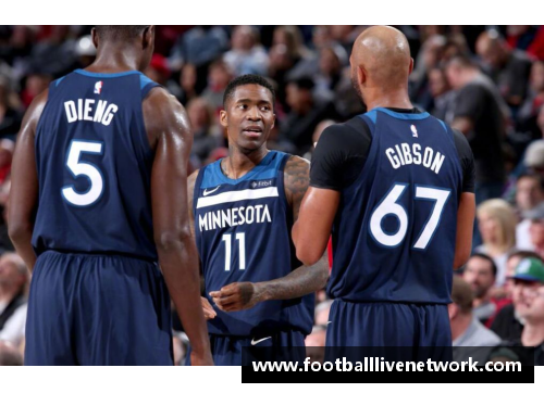 NBA现役球星：风采与传奇，探寻他们的光辉岁月