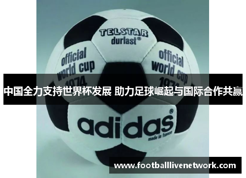 中国全力支持世界杯发展 助力足球崛起与国际合作共赢