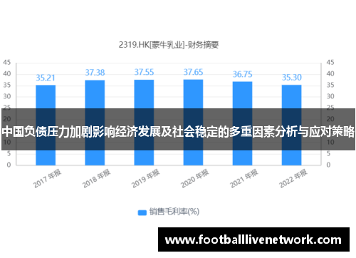 中国负债压力加剧影响经济发展及社会稳定的多重因素分析与应对策略